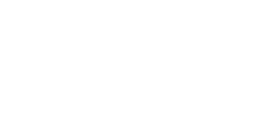 logo light